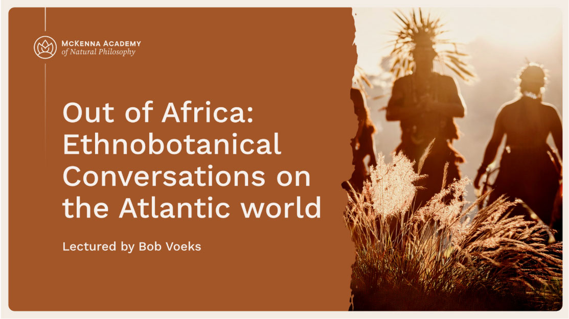 Promotional image for McKenna Academyโs Out of Africa: Ethnobotanical Conversations on the Atlantic World online course with Bob Voeks, featuring a warm-toned silhouette and sunlit plants. Explore African Diaspora plant knowledge, Candomblรฉ traditions, and biocultural resilience across the Americas.