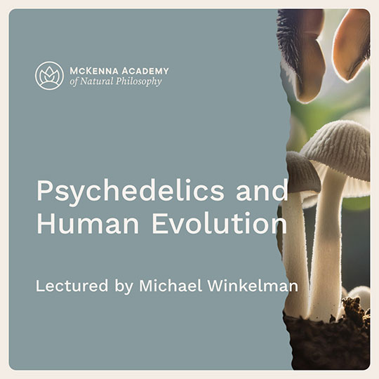 Shop_FC__Michael-Winkelman_Psychedelics-and-Human-Evolution