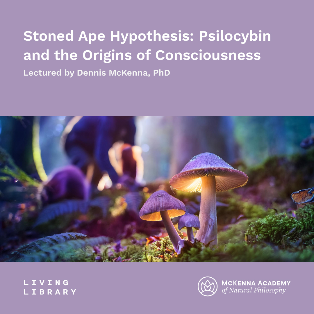 Dennis McKenna_Product_Stoned Ape Hypothesis (1080px)