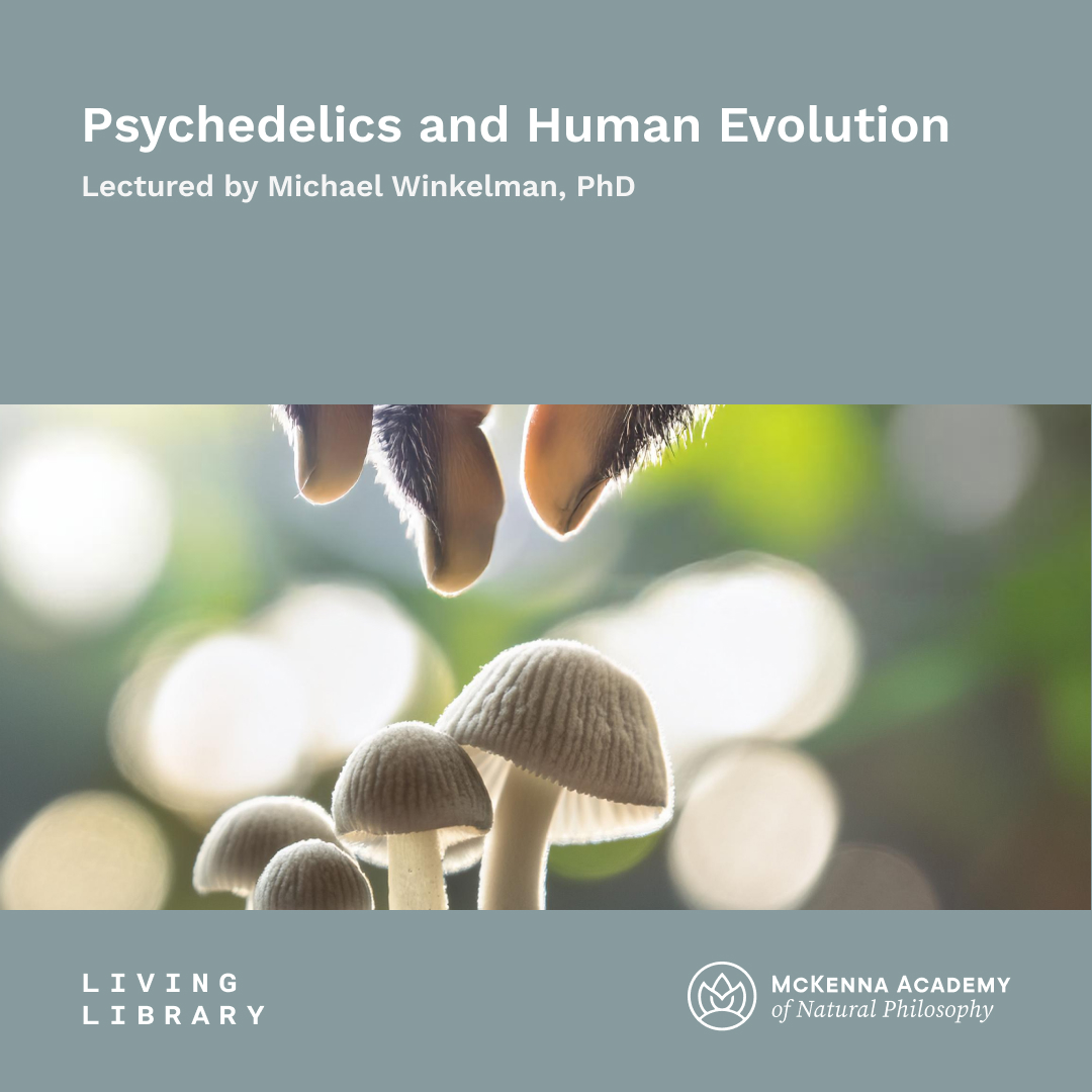 Michael Winkelman_Product_Psychedelics and Human Evolution (1080px)
